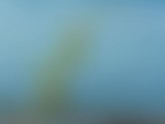 A serene seascape with yellow buoys marking a swimming area in calm blue waters.