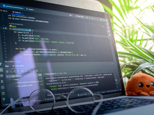 Open laptop displaying code next to a plush toy, set in a bright room with plants.