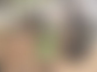 For All My Friends With Lots of Kids