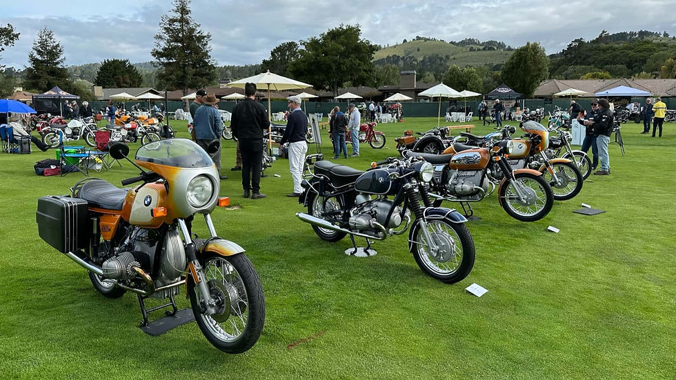 Virajsever Buluşması