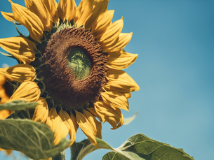Boost Your Mental Health with Positive Thinking Psychiatry