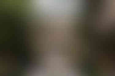 The Hemingway House in Key West, Florida.