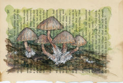 brown mushrooms on a log painted on a book page