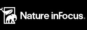 NIF PRIMARY LOGO WHITE_edited.jpg