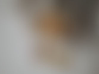 CRUNCHY RED LENTIL GRANOLA