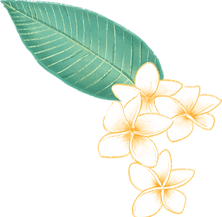Plumeria Flower_edited.png