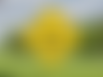 Mistakes Belizean Businesses Make with Advertising (and How to Avoid Them)