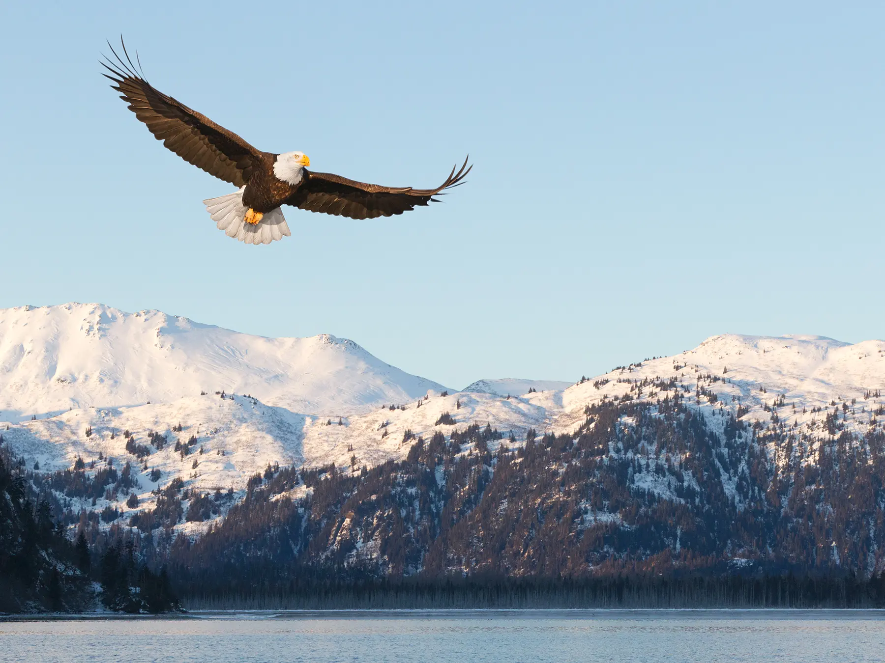 2024Alaska_Gallery1.webp