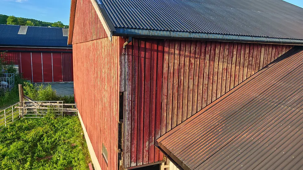 Detalj av værslitt trekledning på en av låvens sider før klargjøring og sprøytemaling.