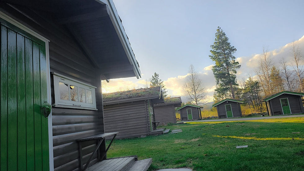 Utvendig vedlikehold av hytter med mørkt treverk og grønne detaljer