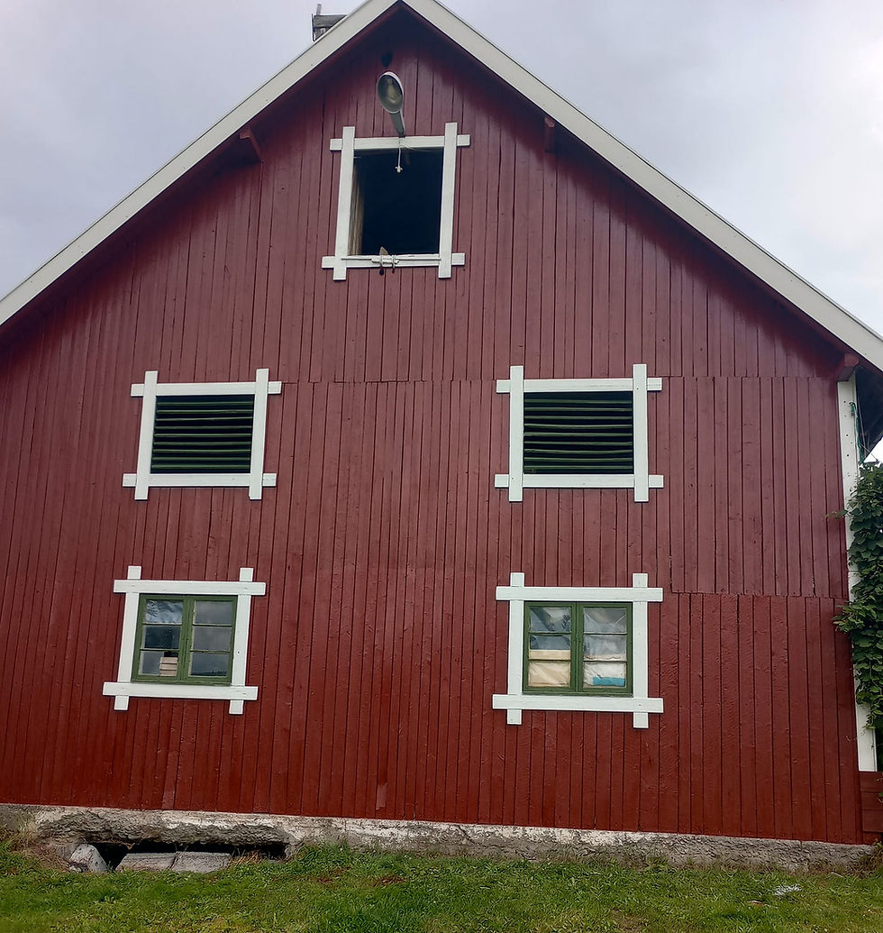 treverket tåler mer hvis du maler det og får mer isolasjon til huset ditt i stedet. trehusmaling i Alvdal maling isolasjon tre beskytte husfornyelse finne