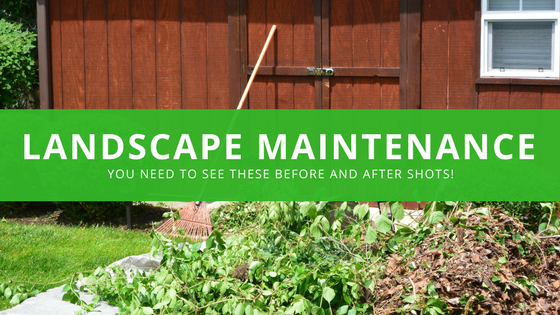 Landscape Maintenance Dayton Ohio area.