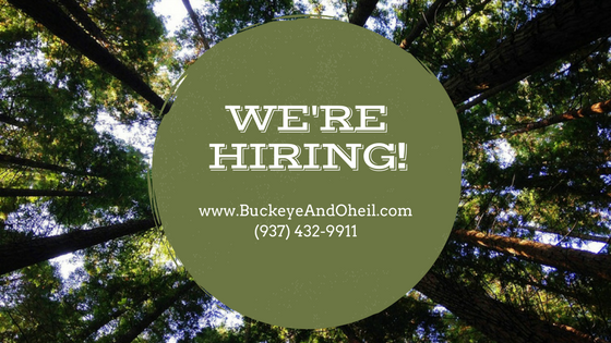 Landscaping jobs Dayton Ohio Buckeye Lawn and Landscaping