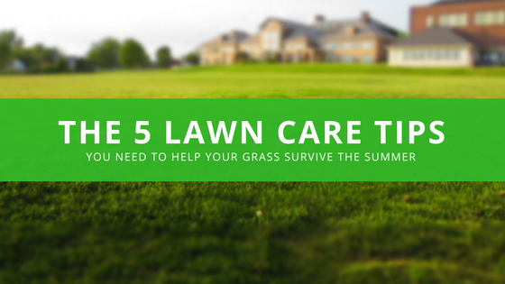 Blog Header for tips to help your lawn survive during the summer months in Dayton Ohio