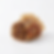 Beef & Onion Guotie / Rind & Zwiebeln