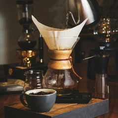 Coffee Grinds for Your Plants