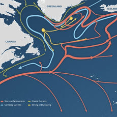 Atlantic Meridional Circulation Collapsing