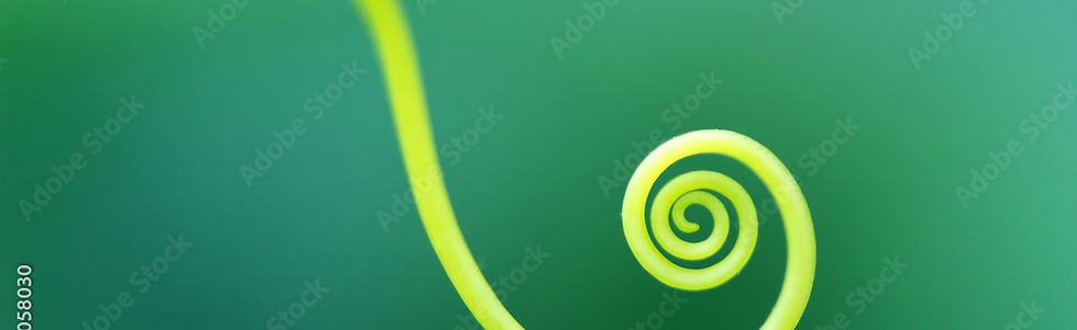 AdobeStock_300058030_Preview.jpeg