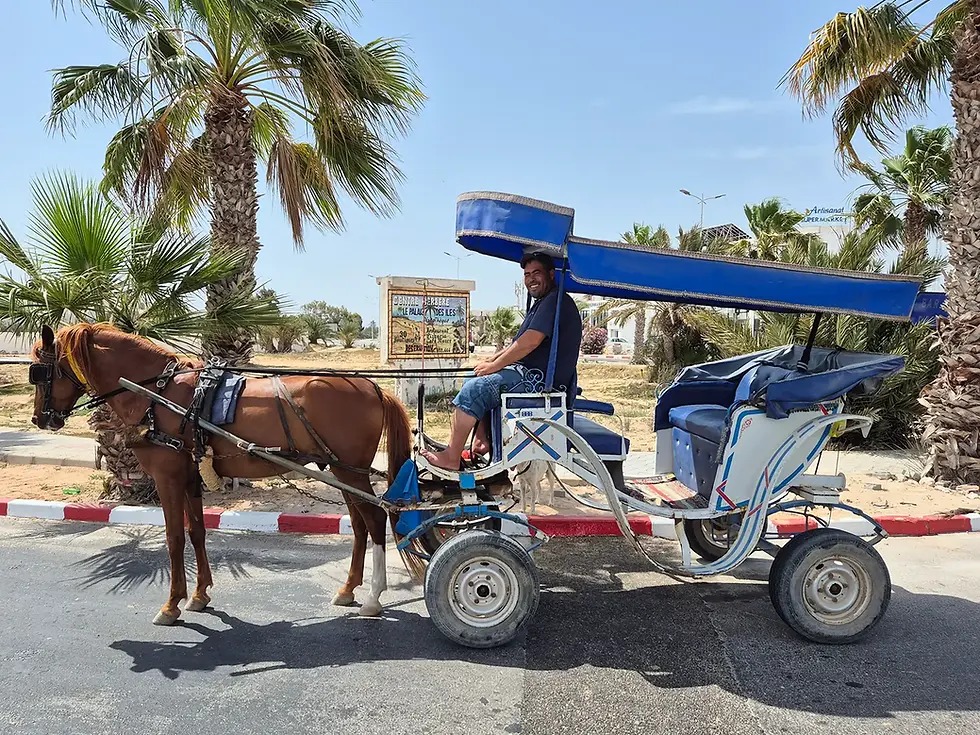 Promenade en calèche-Djerba.webp