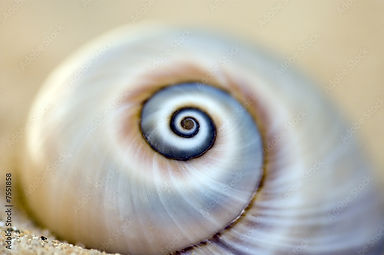 AdobeStock_7551858_Preview.jpeg