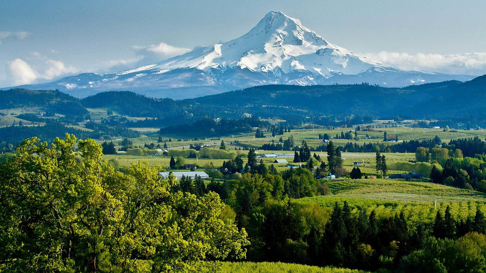 mt hood.jpg