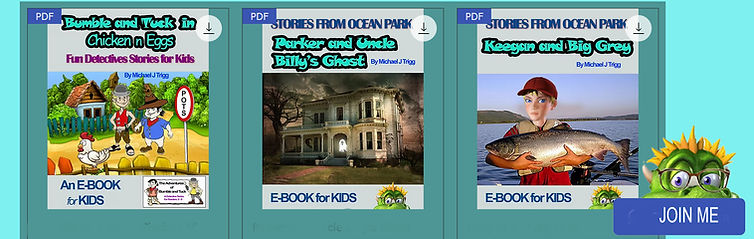 Crowdfund 1 copy.jpg