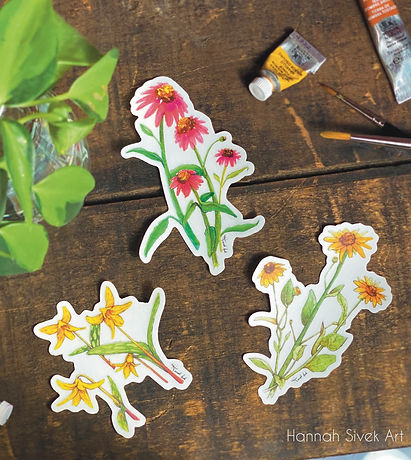 Etsy, shop Etsy, 3-pack stickers, floral stickers, botanical stickers, pretty stickers, flower stickers, flower illustration, flower art, flower paintings, watercolor flowers, Hannah Sivek, Hannah Sivek Art, freelance art, freelance artist, illustration, illustrator, Michigan