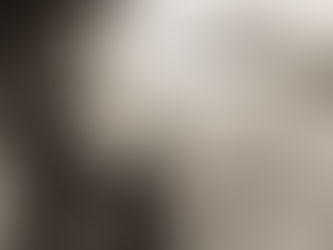 Creature Comforts Mock Up