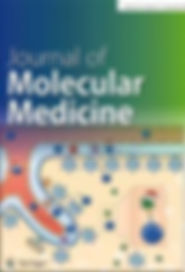 Journal of Molecular Medicine