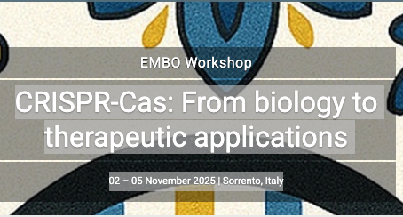 EMBO workshop: CRISPR-Cas: From biology to therapeutic applications