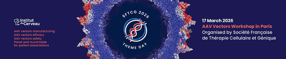SFTCG_Paris26_Banner_1920x400px-1.jpg