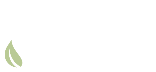 logo-seiva.png