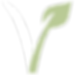 icon-vegano.png