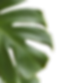 hero-slider-2.png