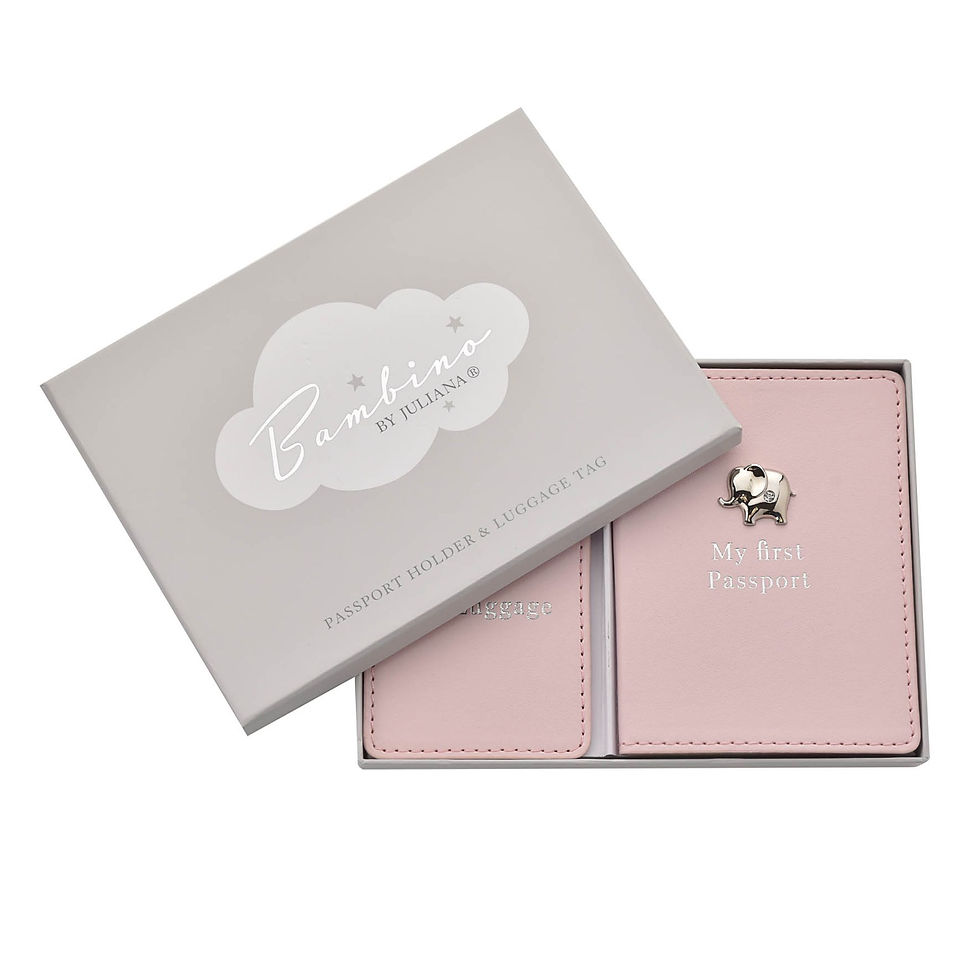 Thumbnail: Bambino Passport Holder And Luggage Tag Set - PINK