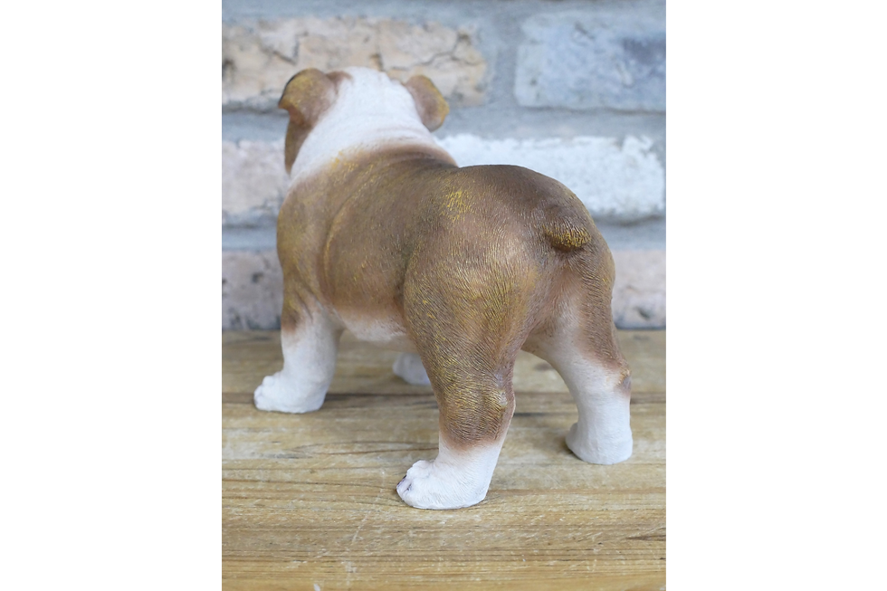 Thumbnail: Standing Bull Dog