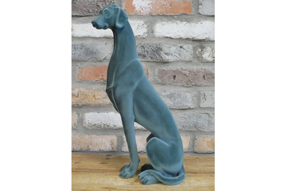 Thumbnail: Proud Dog