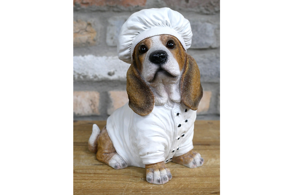 Thumbnail: Dog Chef