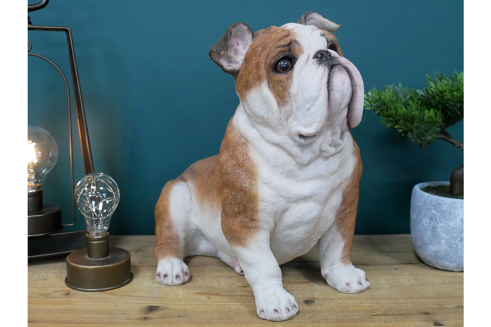 Large Sitting Bull Dog