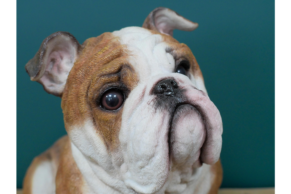Thumbnail: Large Sitting Bull Dog