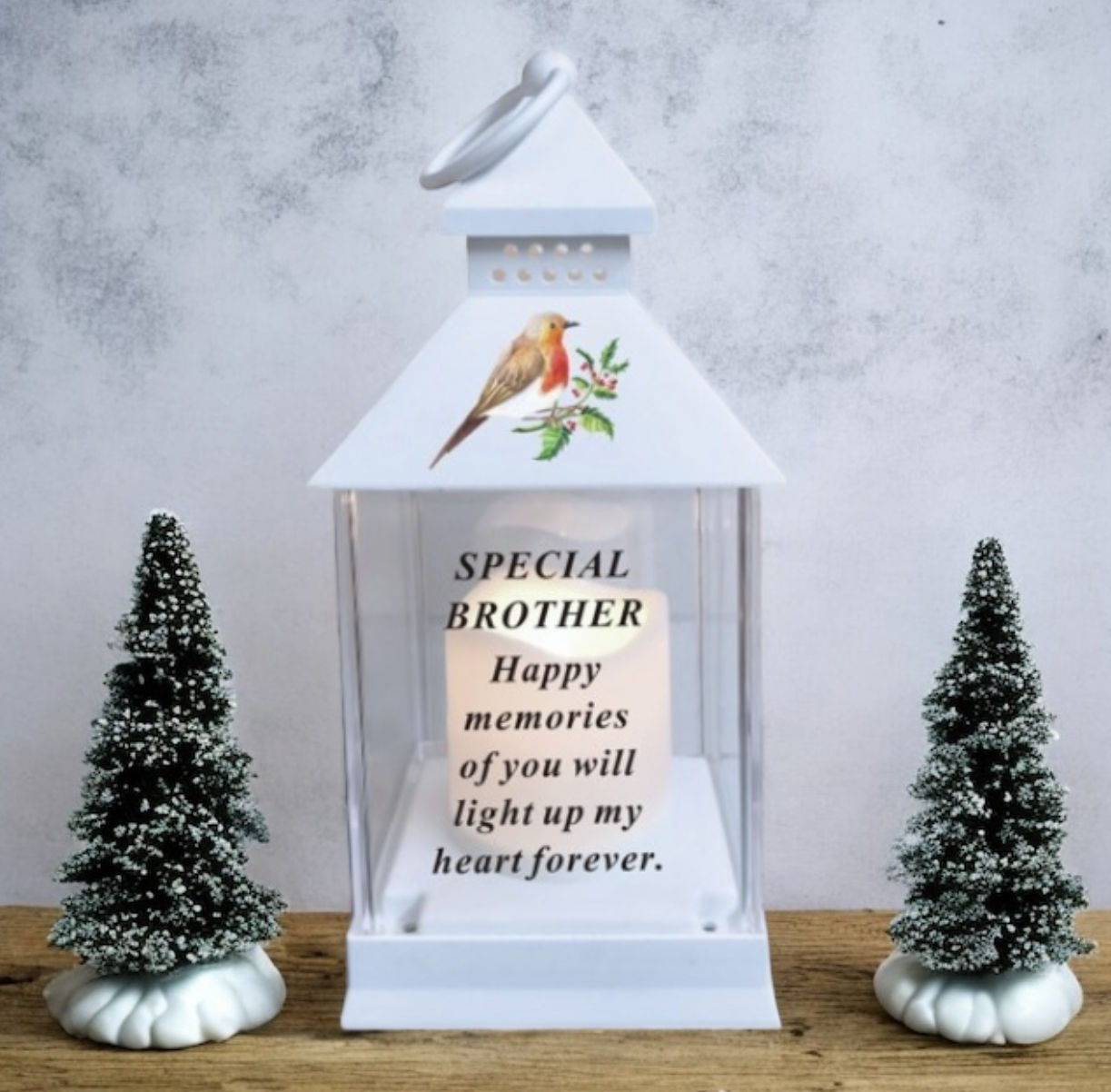 Brother Robin Outdoor Memorial Lantern With Timer