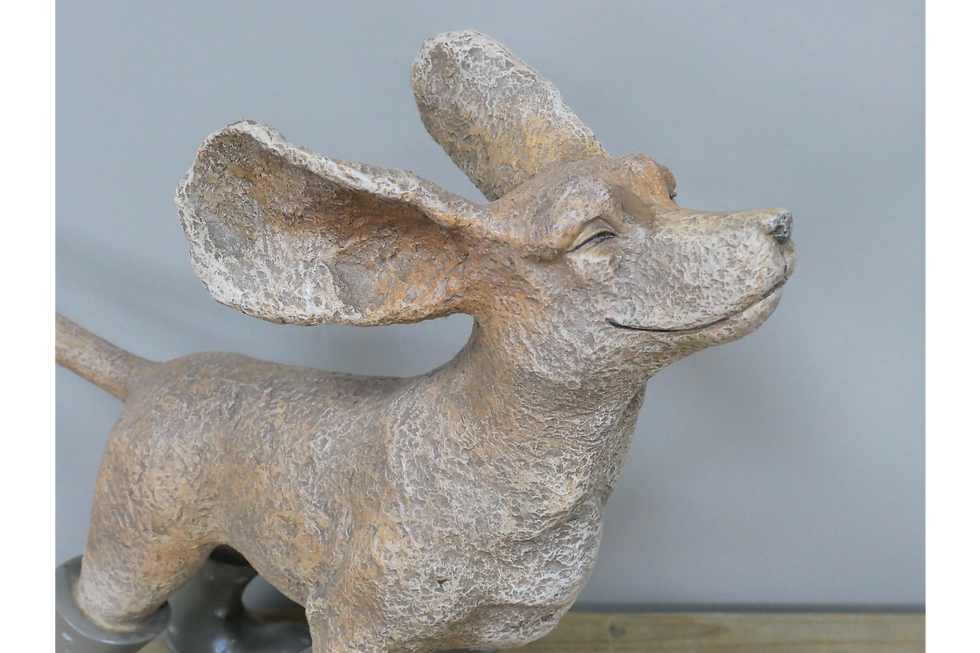 Thumbnail: Dog In The Wind