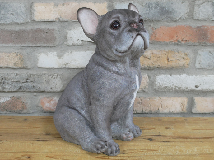 Thumbnail: Sitting Dog (Frenchie)