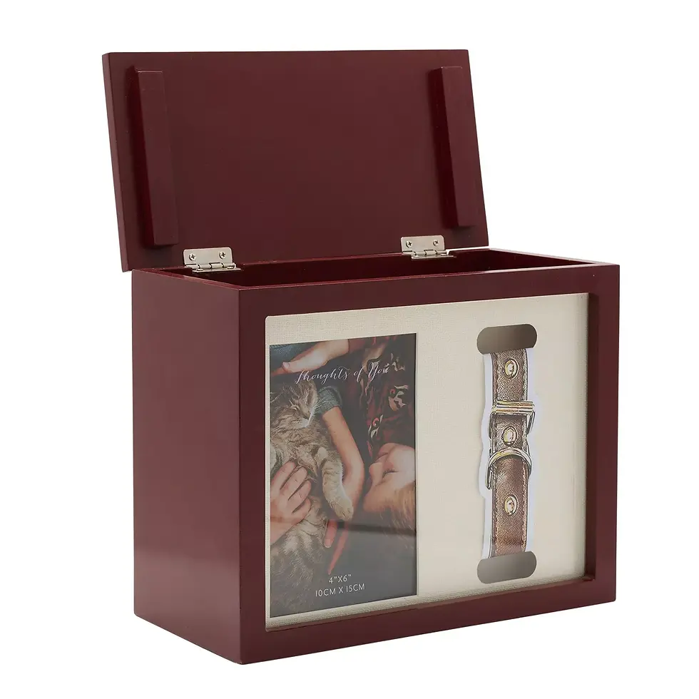 Thumbnail: THOUGHTS OF YOU PET MEMORIAL BOX
