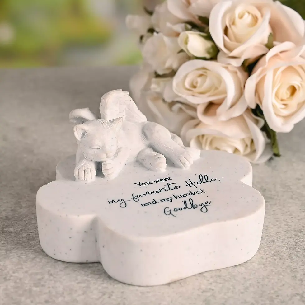 Thumbnail: Thoughts Of You Pet Memorial Paw Plaque - Large