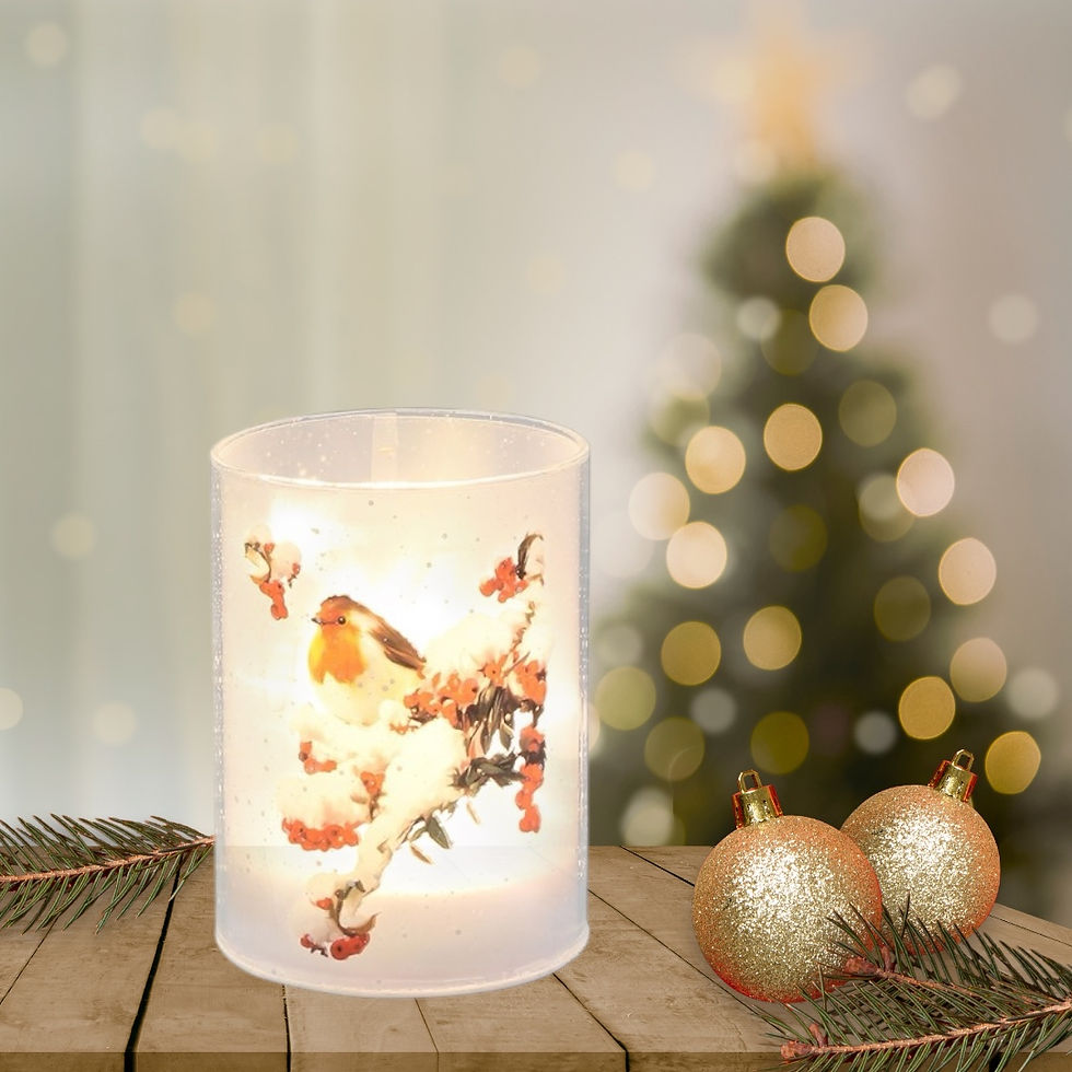 Thumbnail: Winter Light Tube Snowy Robin Small