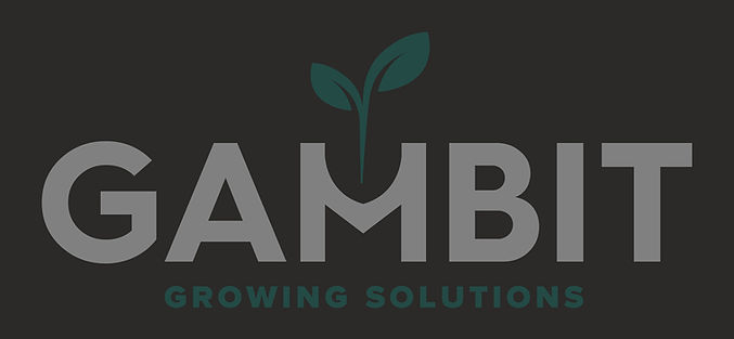 Gambit White and Green_edited_edited.jpg