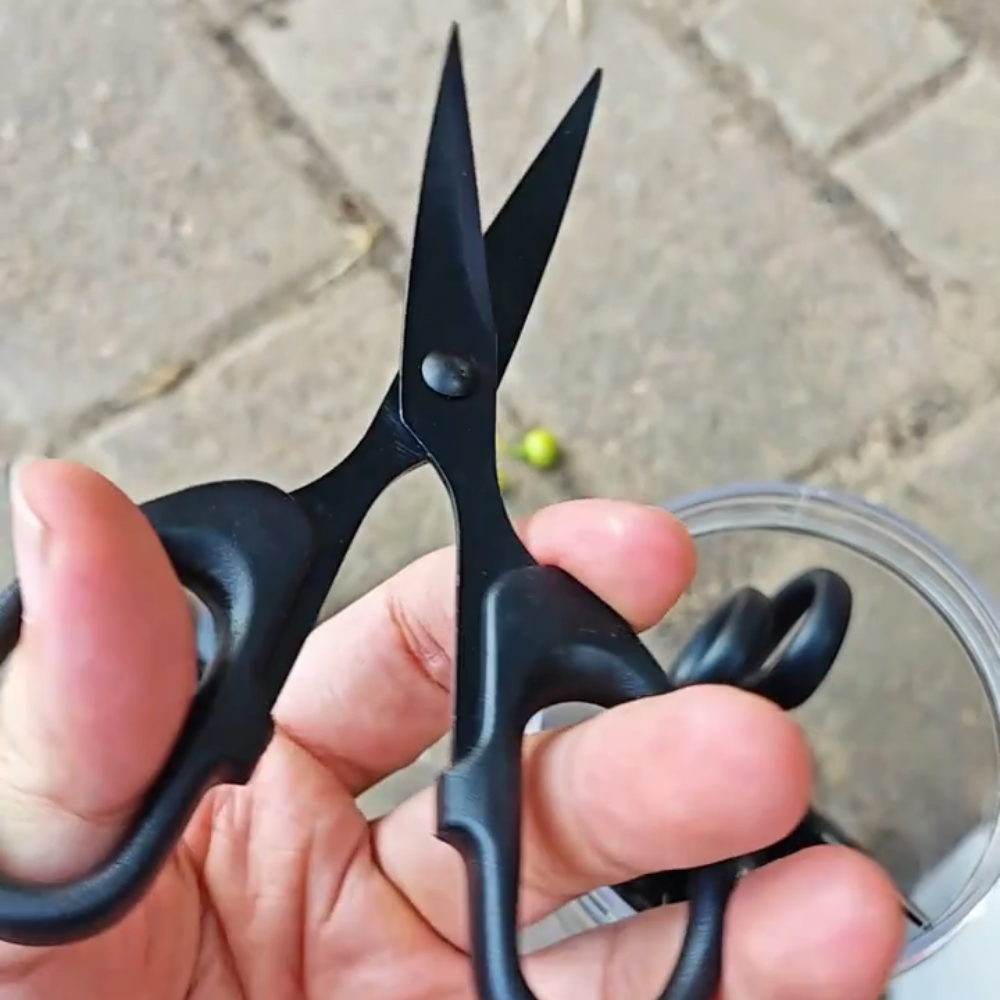 Scissors