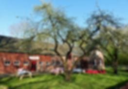 Beeld Michi.jpeg