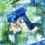 Thumbnail: Fields